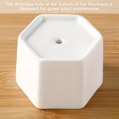 Hexagon Ceramic Succulent Planter with Bamboo Saucer
