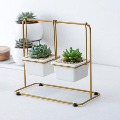 Succulent Swing Planter