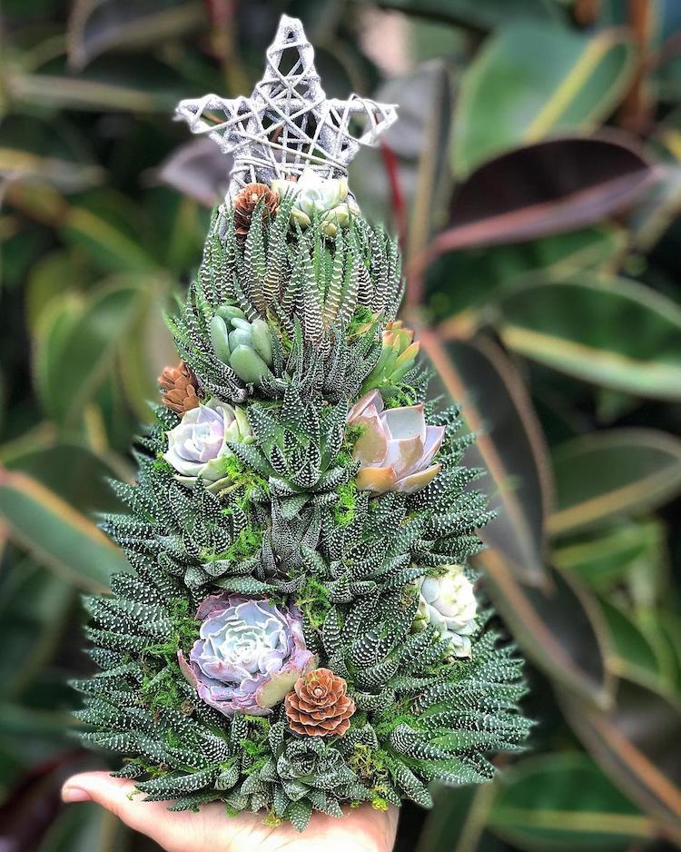 🎁Handmade Surprise Christmas gift🎄Succulent Christmas Tree