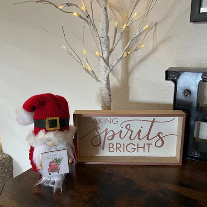 Red Christmas Gnome Set