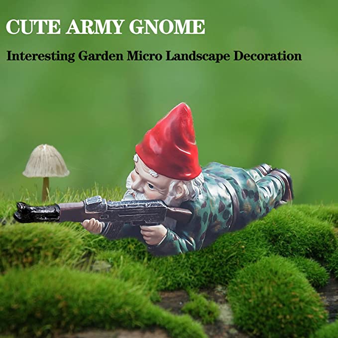 Amusing Army Gnome