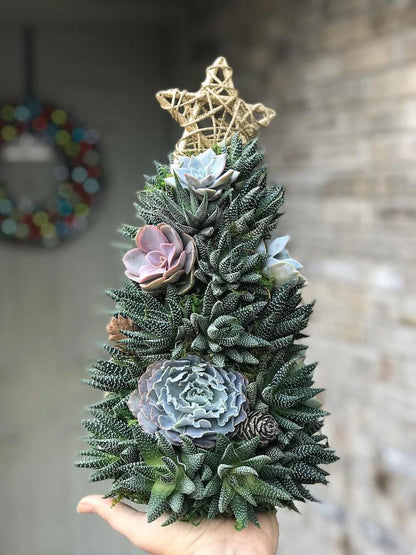🎁Handmade Surprise Christmas gift🎄Succulent Christmas Tree