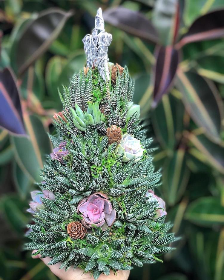 🎁Handmade Surprise Christmas gift🎄Succulent Christmas Tree