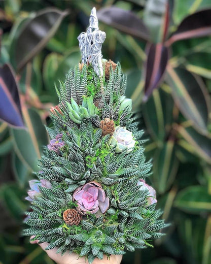 🎁Handmade Surprise Christmas gift🎄Succulent Christmas Tree