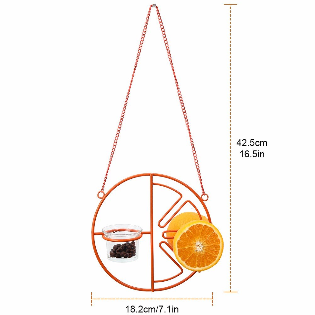 2-in-1 hanging hummingbird oriole feeder